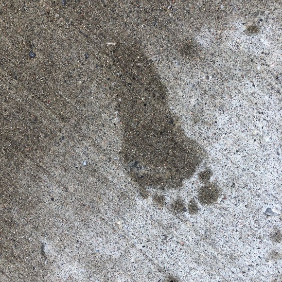 Meet your Posher, Simone - Picture 1 of 1